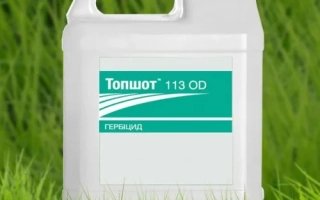 Топшот 113 ОD