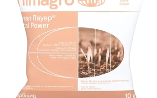 Тотал Пауер, РГ