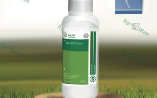 Тритон, в.г. (АДГ 2/3)