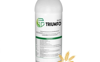 Триумфо 114 ОD