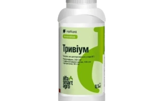 Тривиум, ВГ, гербицид + ПАР Бустер