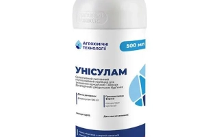 Унисулам, КС