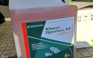 Юнкус Протект