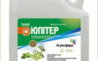 Канистра с гербицидом Юпитер