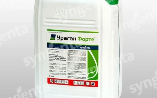 Ураган Форте 500 SL