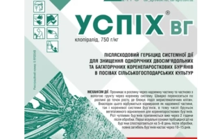 Успих, ВГ