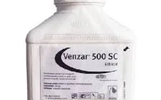 Venzar, KS, (Lenacil, 500 g/kg)