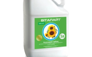 ВИТАЛАЙТ, РК