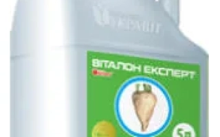 Виталон Эксперт