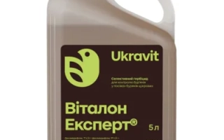 Виталон Експерт
