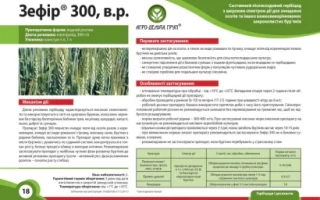 Зефир 300 в.р.