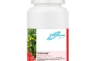 Злакодин в.д.г.