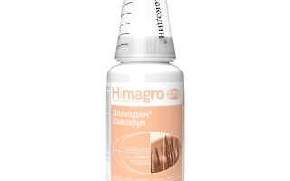 Злакодин, ВГ