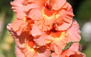 Нижний Новгород