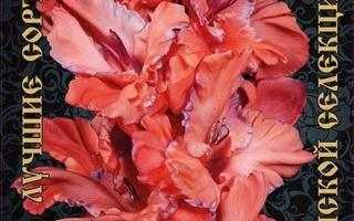 Волнистая Бахрома