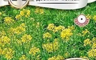 Пакет семян горчицы белой СЕМЕНОВСКАЯ с изображением цветущего поля и продукта