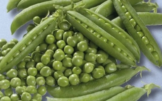 Алтайский Изумруд