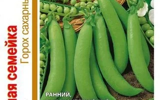 Дружная Семейка