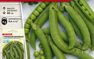 Грибовский Юбилейный