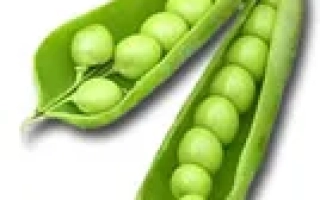 Три стручка зелёного гороха с зернами - Карина