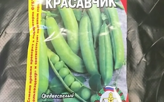 Красавчик