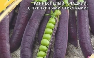 Красная Горка