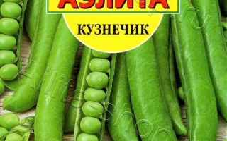 Кузнечик