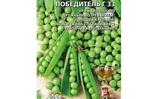 ПОБЕДИТЕЛЬ Г 33
