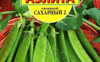 САХАРНЫЙ 2