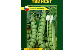 Твинсет