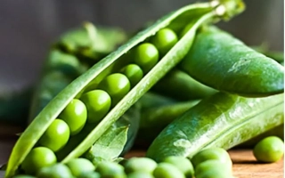 Свежий зеленый горошек в стручках на деревянной поверхности - Вальверде