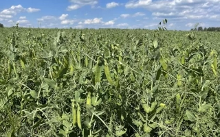 ЯМАЛЬСКИЙ 305