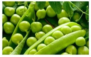 Чекригинский