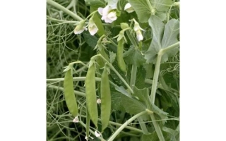 Харьковский 376