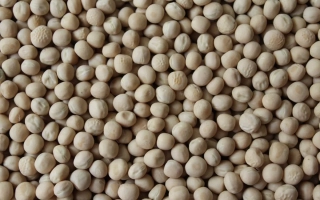 Интенсивний 97