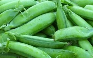 ОРЛОВЧАНИН 2