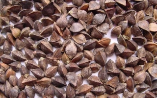 Подильская