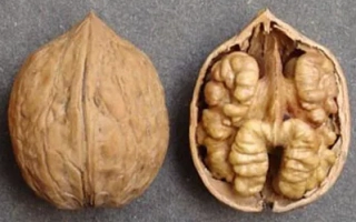 Кишиневский