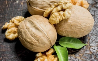 Костюженский