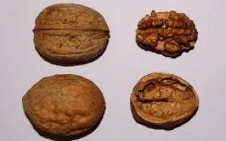 Подарок Валентины