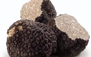 Трюфель черный