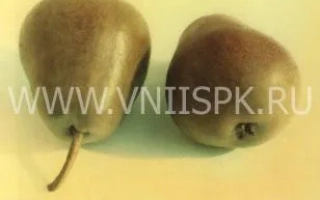 Декабринка