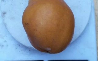 Хотинчанка