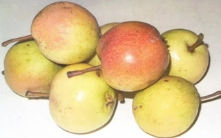 Первушинская