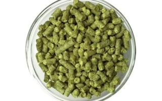 Зелёные хмелевые шишки в стеклянной чаше - Халлертауер Магнум Бел