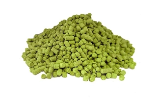 Славянка — горсть зеленого хмеля на белом фоне - Славянка (Станислава) / Слов'янка