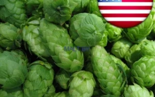 Свежие хмели на фоне с американским флагом - Триумф