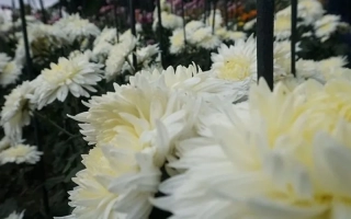 Антон Чехов