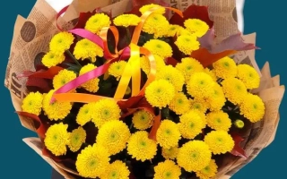 Bouquet of yellow chrysanthemums in brown paper wrapping with red ribbon - BABIE LETO