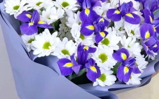 Букет из белых и фиолетовых хризантем в синей упаковке - ИРИСКА